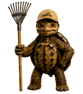 Bobby die Schildkröte