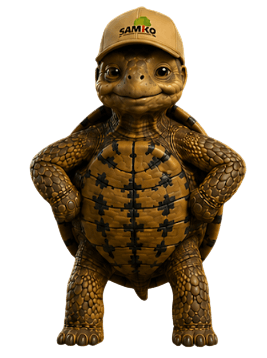 Bobby die Schildkröte