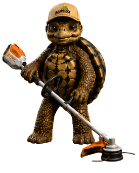 Bobby die Schildkröte