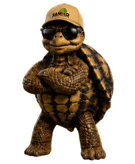 Bobby die Schildkröte