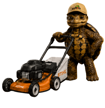 Bobby die Schildkröte