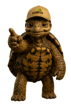 Bobby die Schildkröte